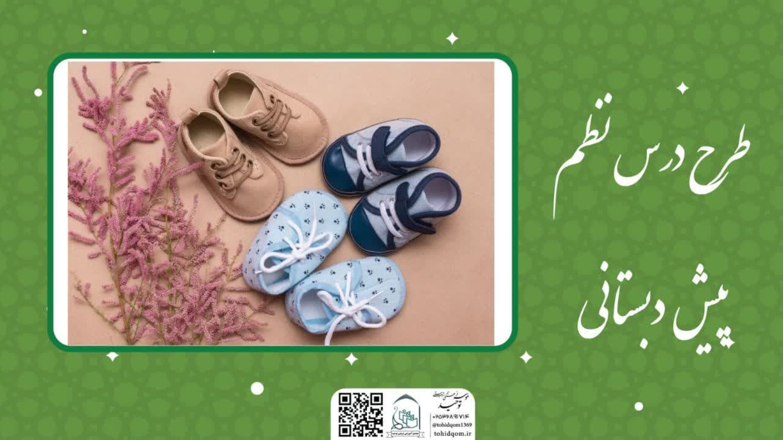 نظم